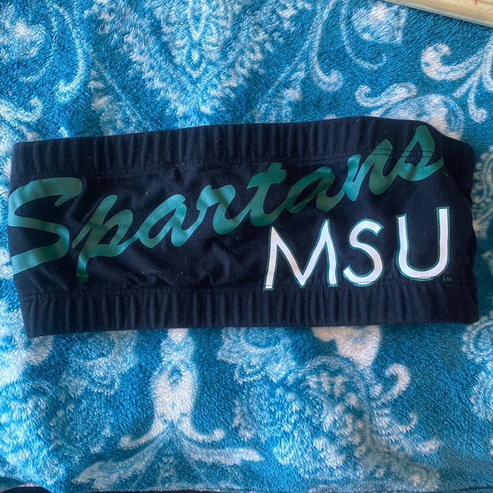 Michigan State Bandeau